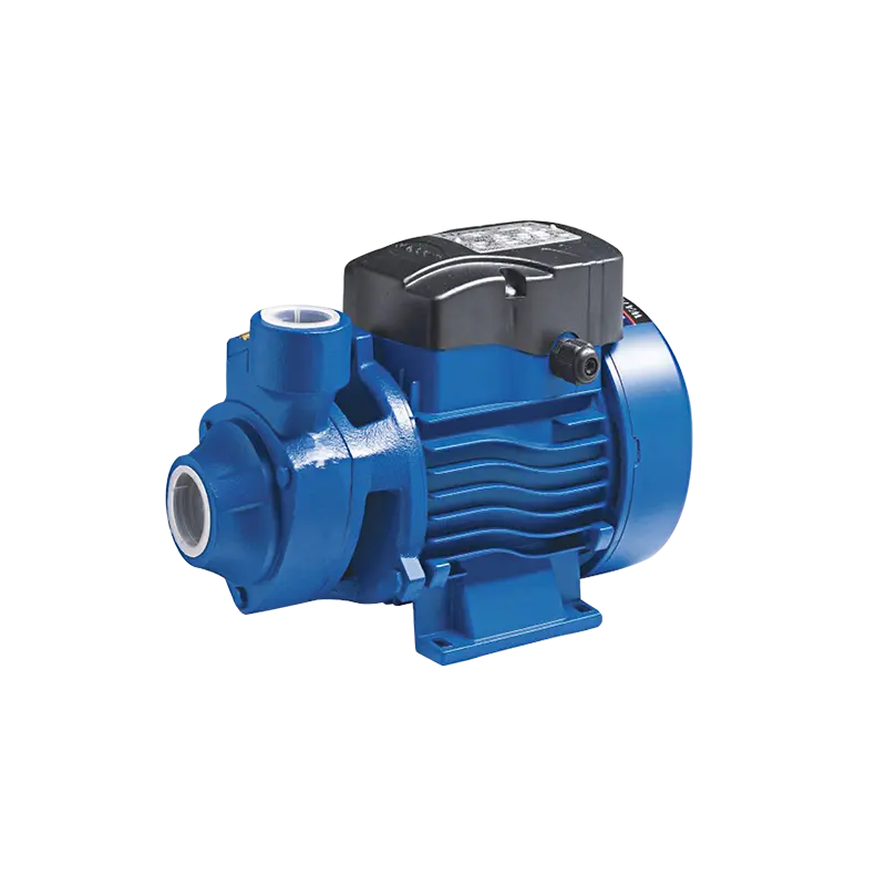 ปั๊มน้ำหอยโข่ง Centrifugal Pump HG-QB60